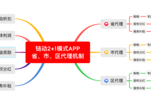 2024版链动2+1模式系统开发之区域代理设计深度解析缩略图