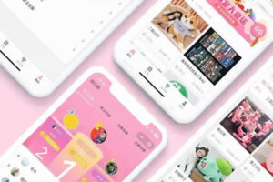 我店模式消费绿色积分开发深度分析缩略图
