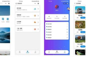 投票系统app功能规划开发案例缩略图