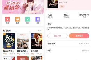 在线小说系统小程序开发架构分析缩略图