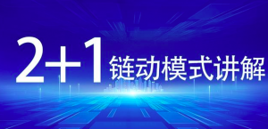 链动2+1模式制度分享插图